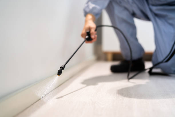 Best Mosquito Control Services  in Ridge Manor, FL