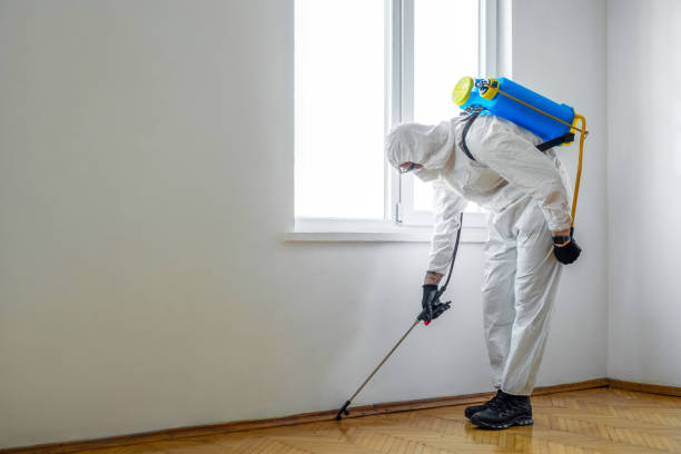 Best Best Pest Control Companies  in Ridge Manor, FL