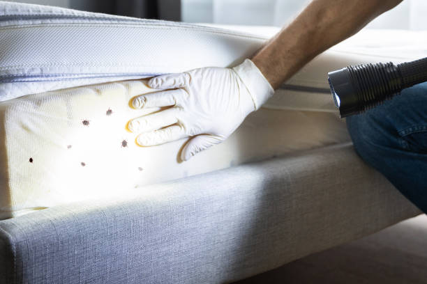 Best Termite Control Services  in Ridge Manor, FL